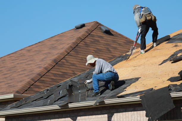 Best Roof Coating and Sealing  in , UT