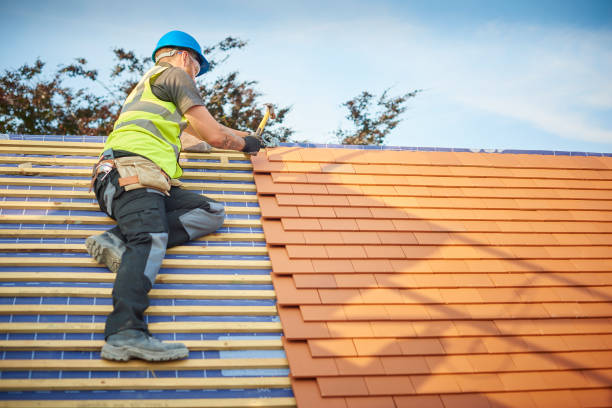 Best Skylight Installation and Repair  in , UT